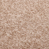Dörrmatta beige 40x60 cm