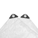 Klar presenning med öljetter 5x12 m PVC