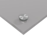 Kök Backsplash Ljusgrå 70x60x0,6 cm Härdat Glas