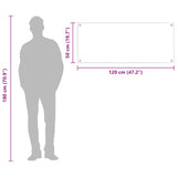 Köksskydd Transparent 120x50x0,6 cm Härdat Glas