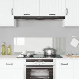 Kök Backsplash Transparent 120x40x0,6 cm Härdat Glas