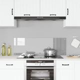 Kök Backsplash Ljusgrå 120x40x0,6 cm Härdat Glas